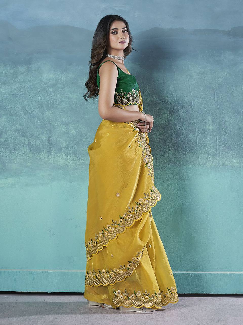 Traditional Saree