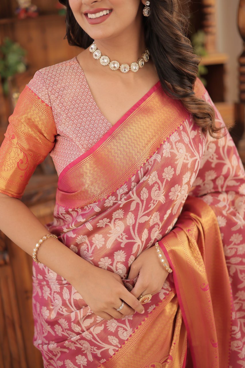 Premium designer saree