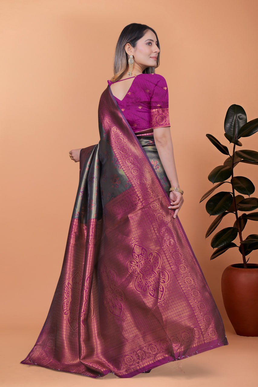 Designer saree collection